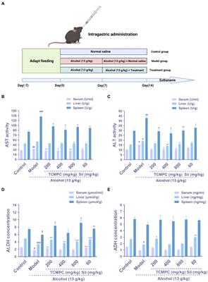 Amelioration of alcohol-induced acute liver injury in C57BL/6 mice by a mixture of TCM phytochemicals and probiotics with antioxidative and anti-inflammatory effects